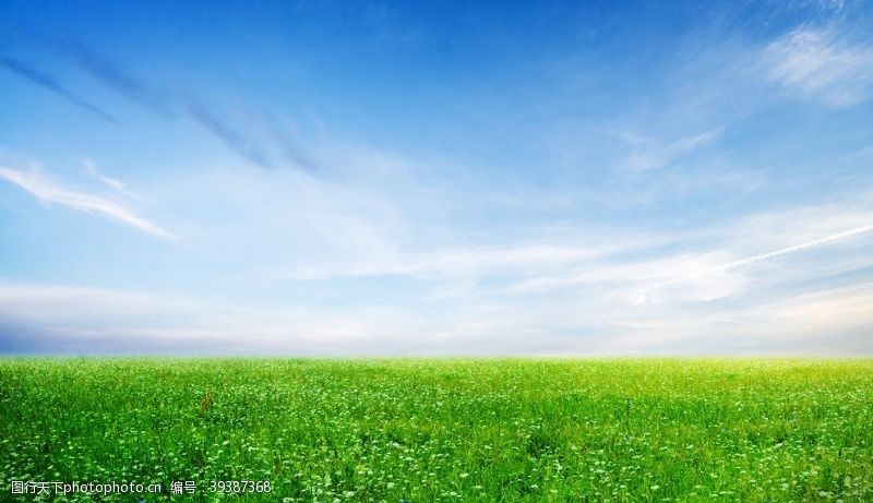 天然环保蓝天白云大草坪图片