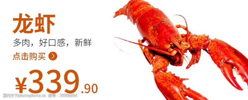 龙虾包装龙虾海鲜龙虾海报食品图片
