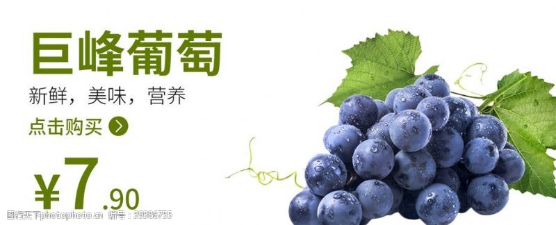有机水果海报葡萄葡萄海报水果海报图片