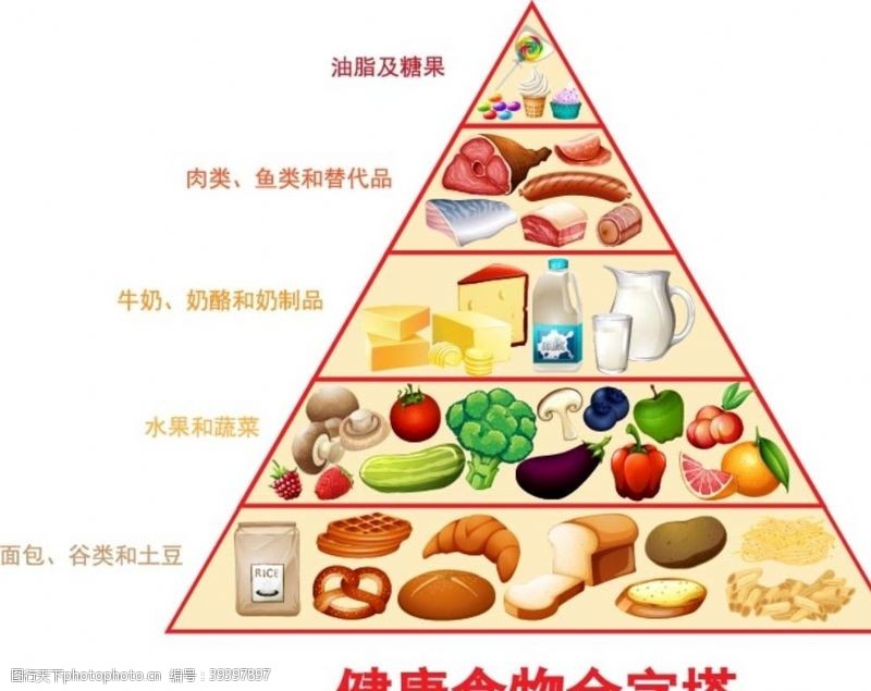 火腿香肠膳食金字塔图片