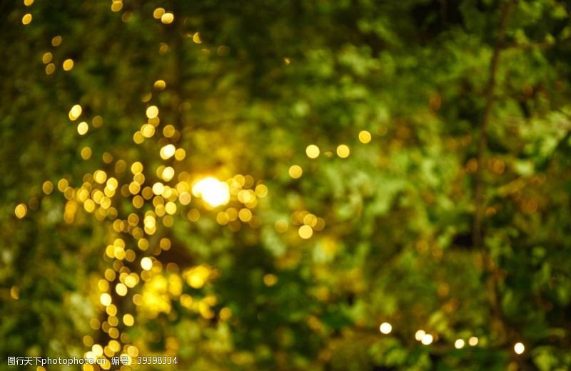 绿植景观墙透过树叶的斑斓灯光图片