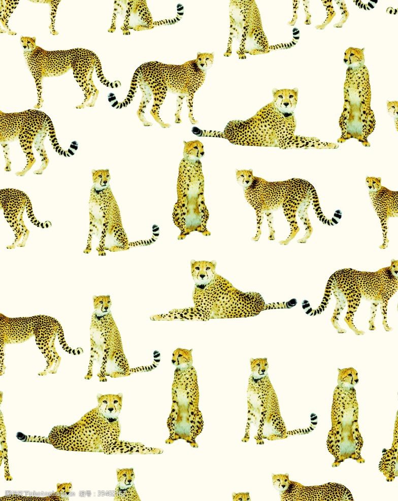 印花素材豹子图片
