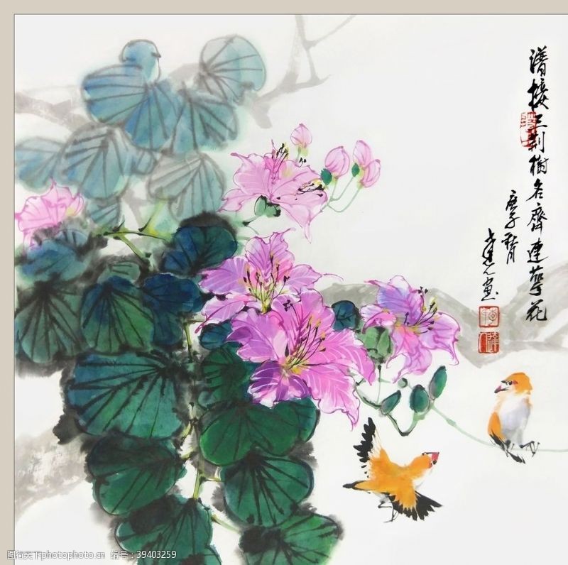 当代艺术二十四节之大雪紫荆李达人图片