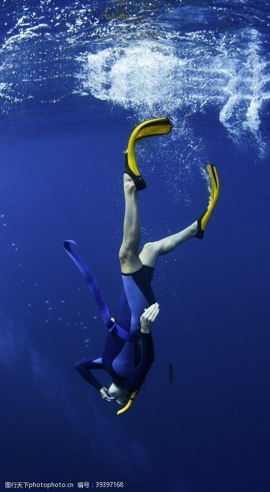 潜水运动潜水图片