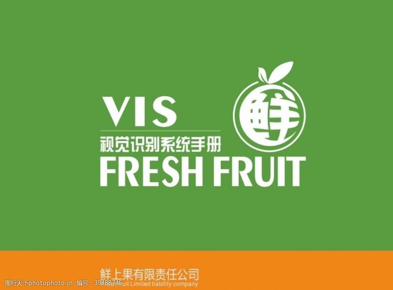 公司vi手册vi设计图片