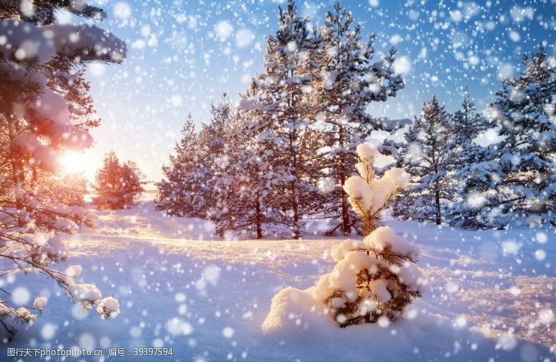 圣诞元素下雪场景图片