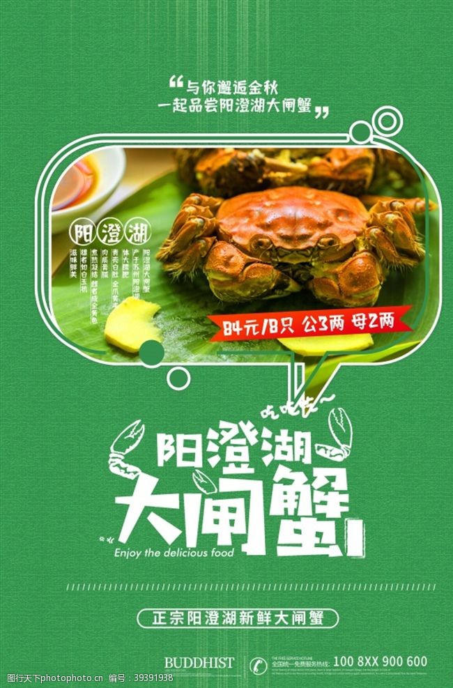 螃蟹宣传阳澄湖大闸蟹广告图片