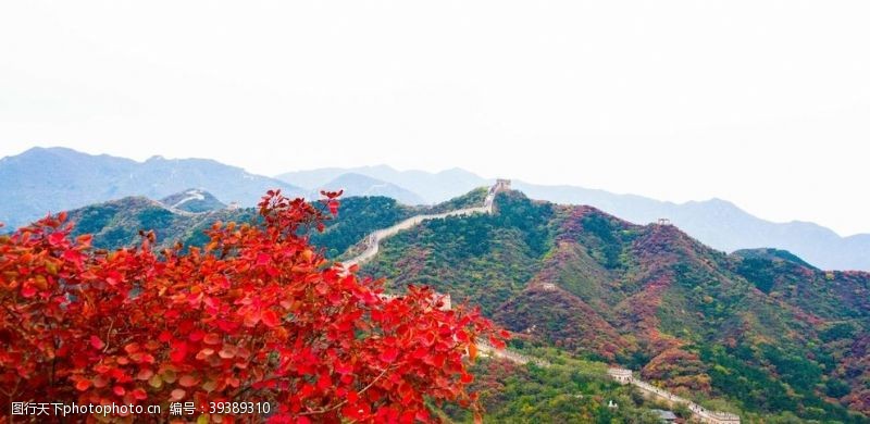 建筑背景长城红叶图片