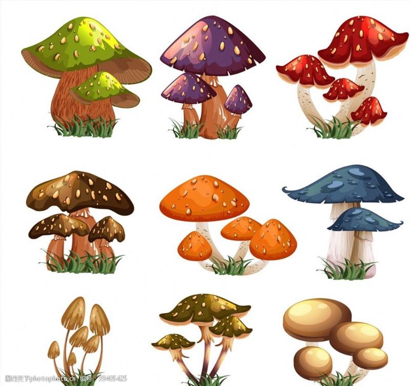 草菇卡通蘑菇设计图片