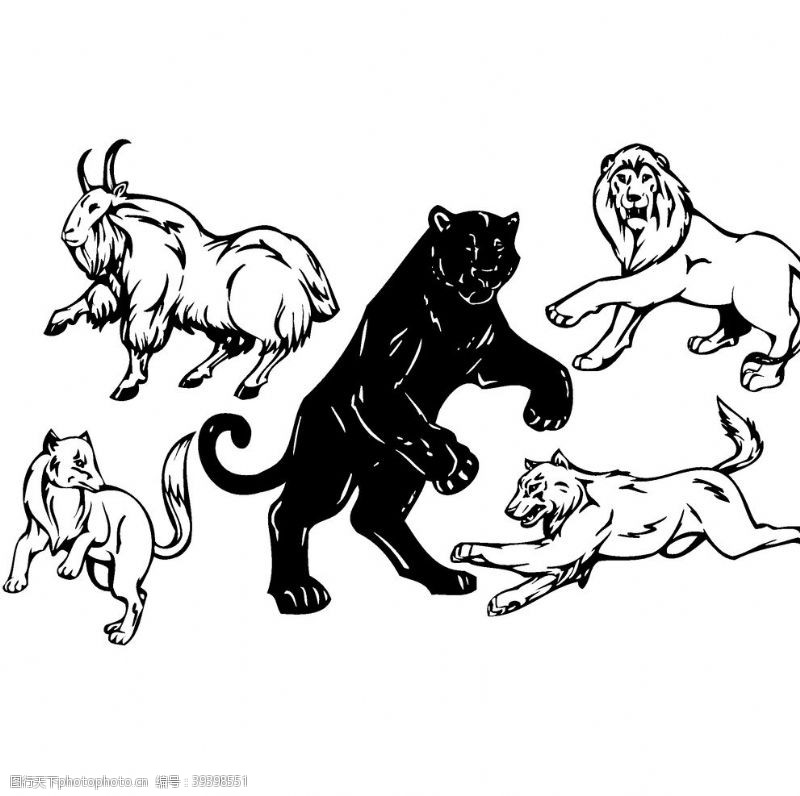 虎头卡通手绘狮子豹子老虎图片