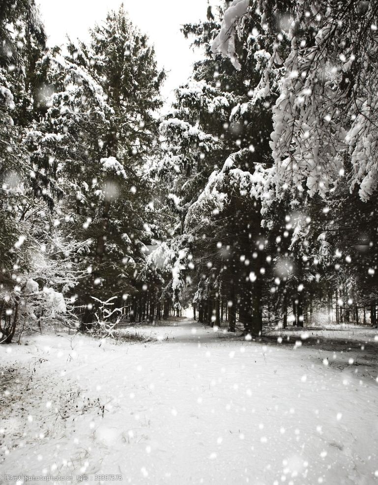 松下下雪场景图片