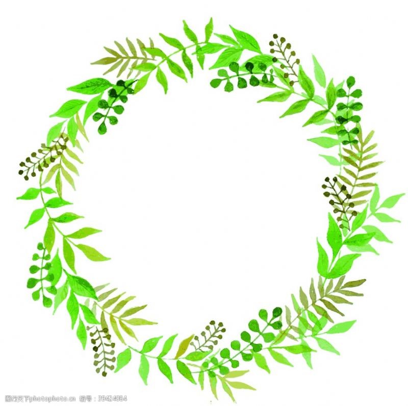 绿叶相框植物花圈图片