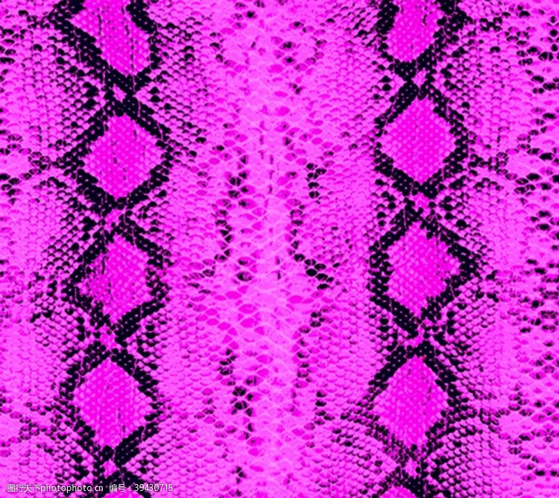 泳衣粉色蛇皮图片