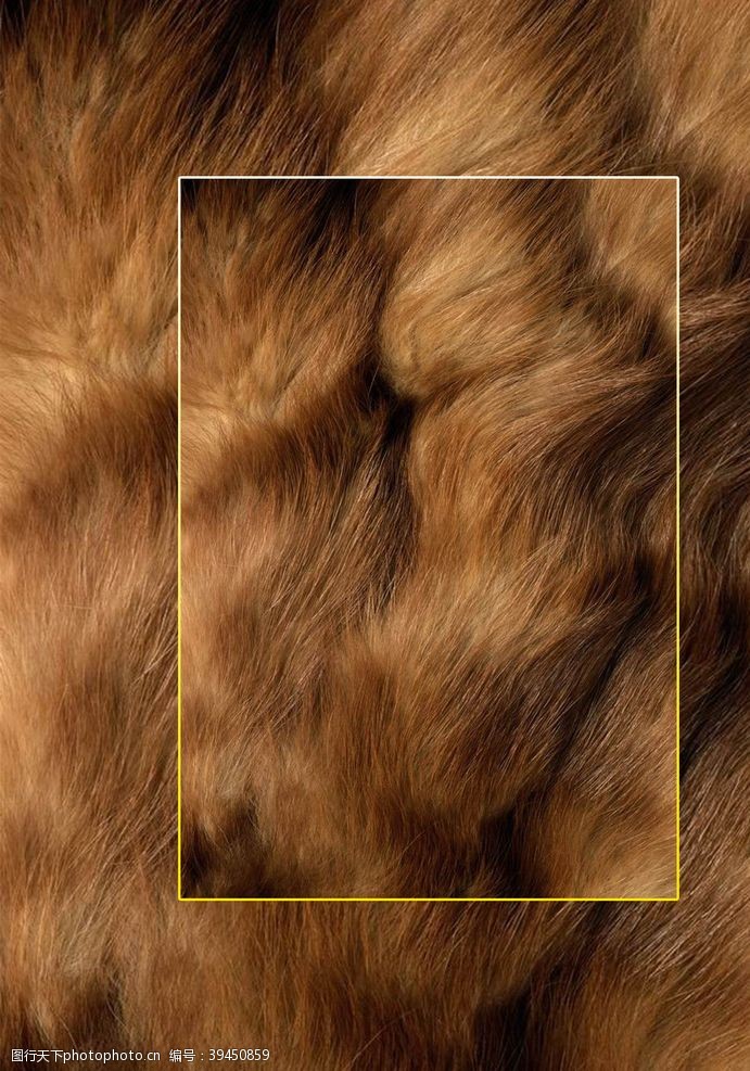 高清印刷高清动物毛发背景JPG图片