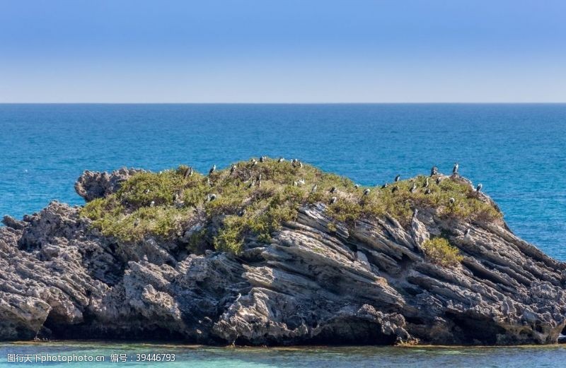 澳大利亚海岸风景图片