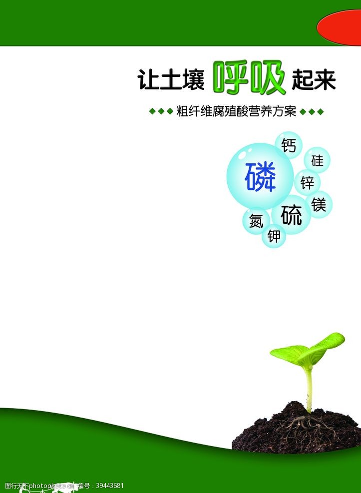 海参宣传单化肥海报图片