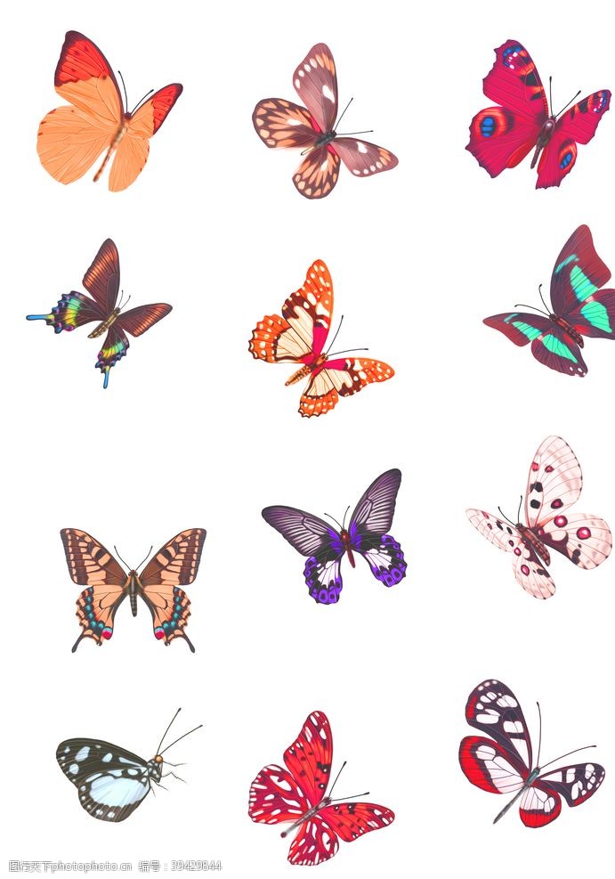 各类花蝴蝶素材图片