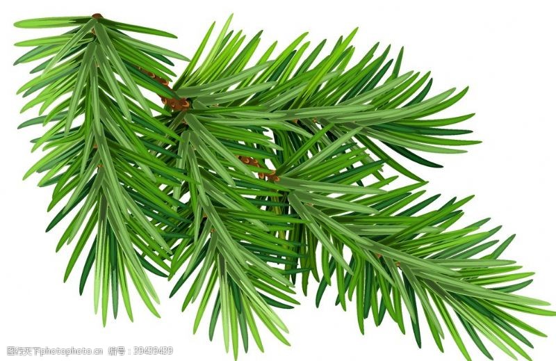 主图素材绿色树枝主题设计图片