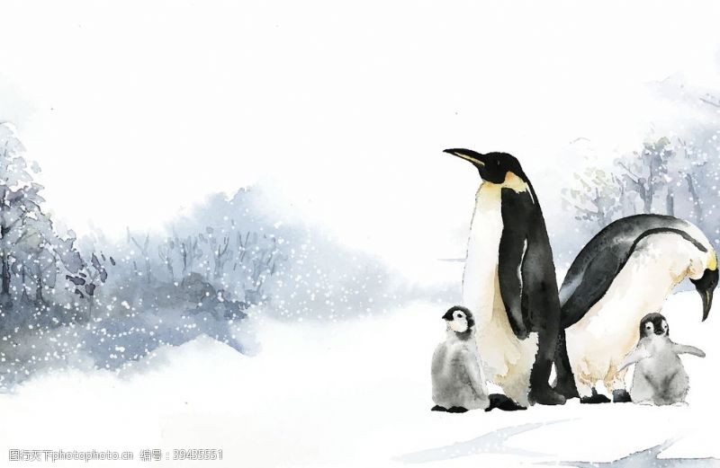 创意摆件南极企鹅装饰画图片