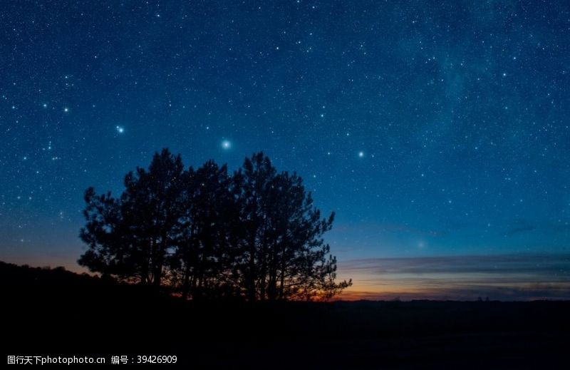 夜晚森林背景森林星空图片