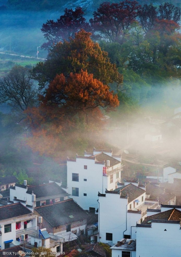 晨雾石城的秋色图片