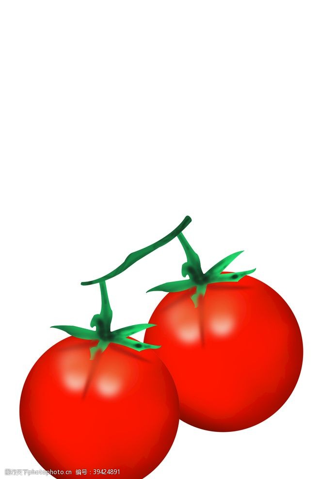 其它西红柿图片