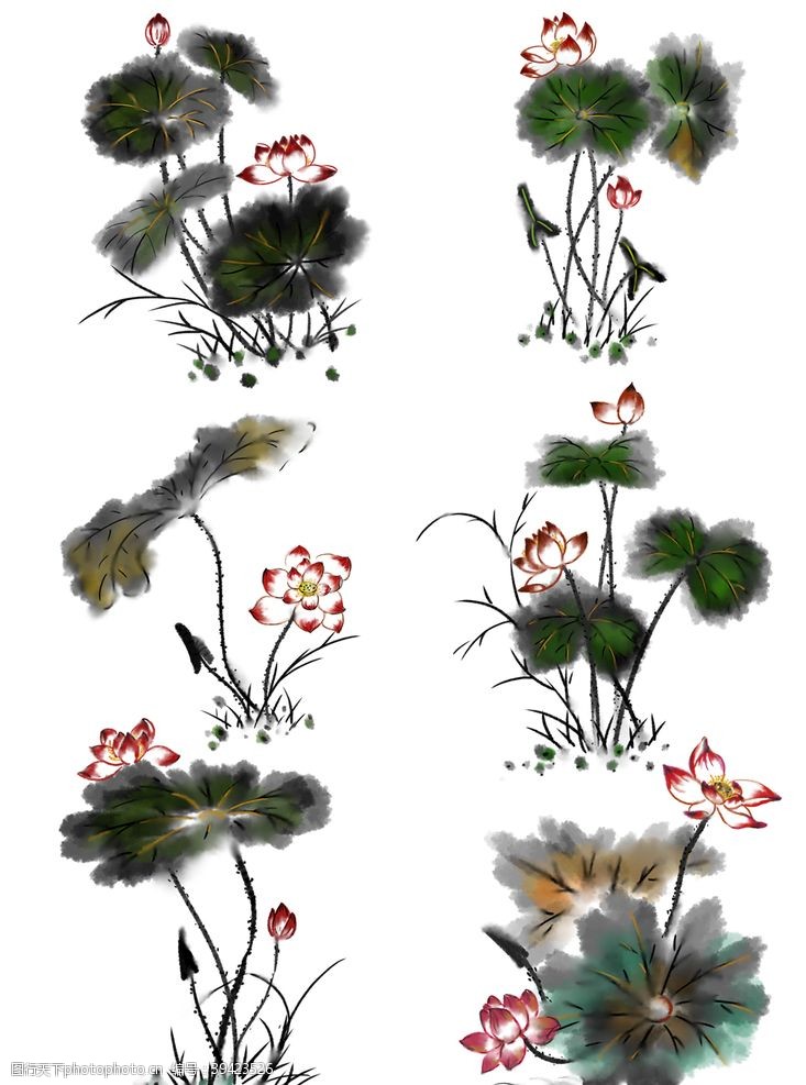 传统花朵中国风水墨荷花图片