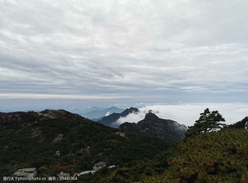 奇松安徽黄山迎客松奇石云雾图片