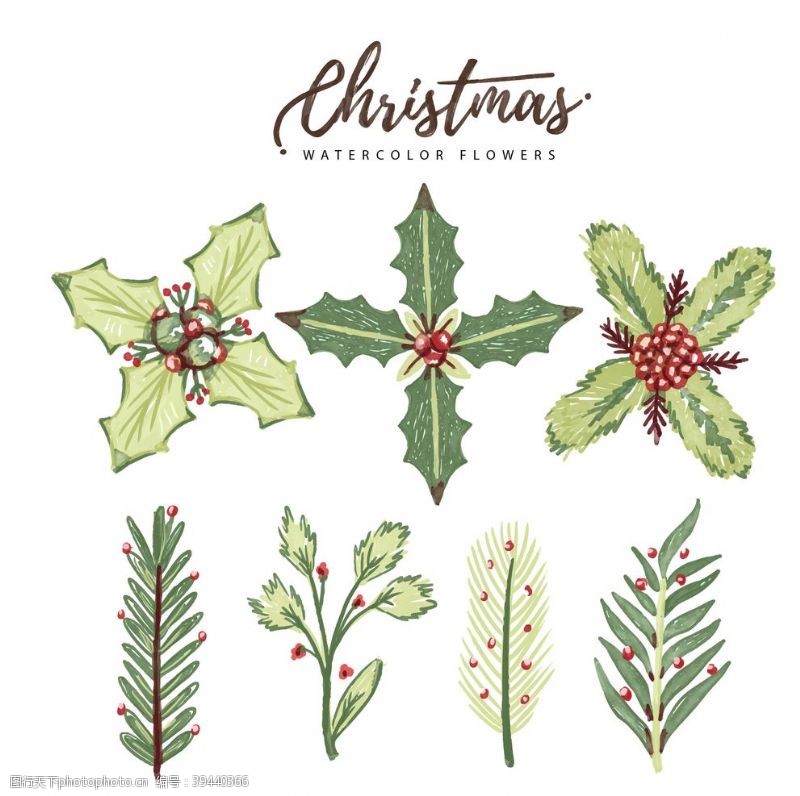 草本植物底纹圣诞树图片