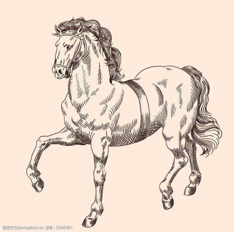 流行印花手绘马图片