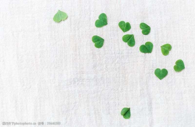 绿色心形心形三叶草图片