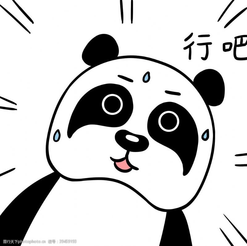 熊本熊熊猫忉忉图片