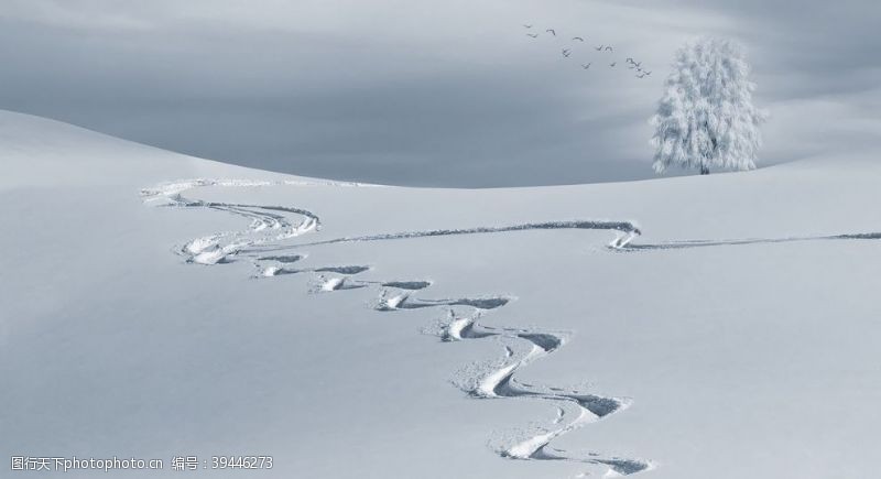 山脚下雪地脚印图片