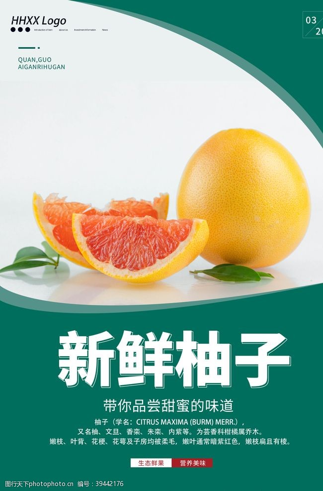 茶展板柚子图片