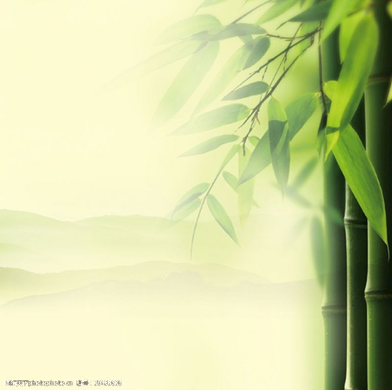 竹韵中式竹子主图图片
