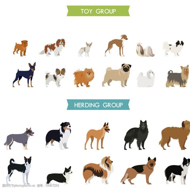 流浪动物狗DOG动物卡通图片