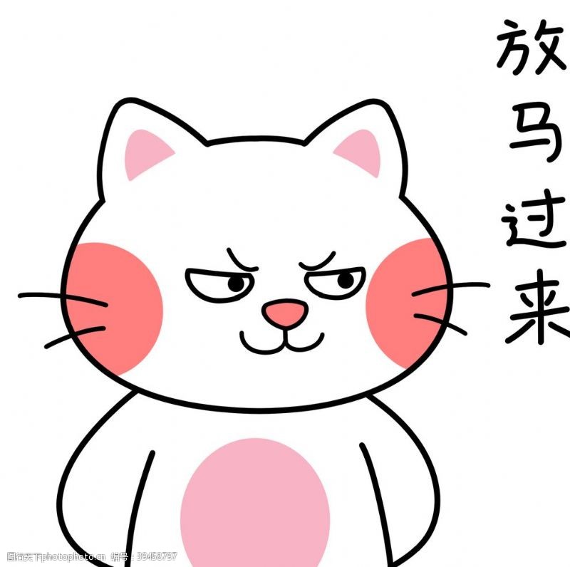 kitty胖猫图片