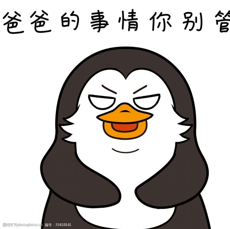 卡通宠物小熊企鹅萌萌图片