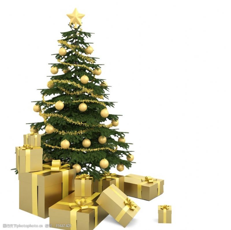 奇松圣诞节圣诞树png素材图片