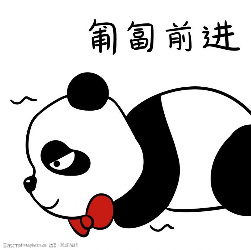 卡通熊猫熊猫照照图片