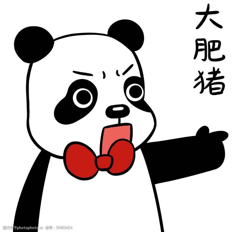 熊本熊熊猫照照图片