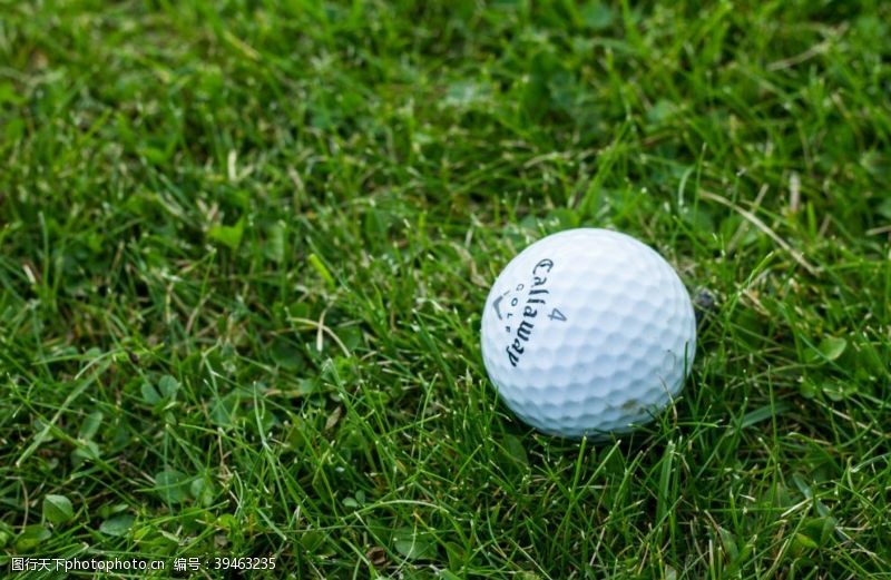 高尔夫招生高尔夫球图片