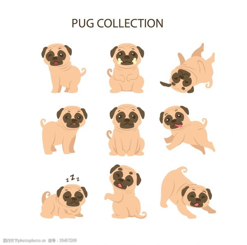 金杯狗DOG动物卡通图片