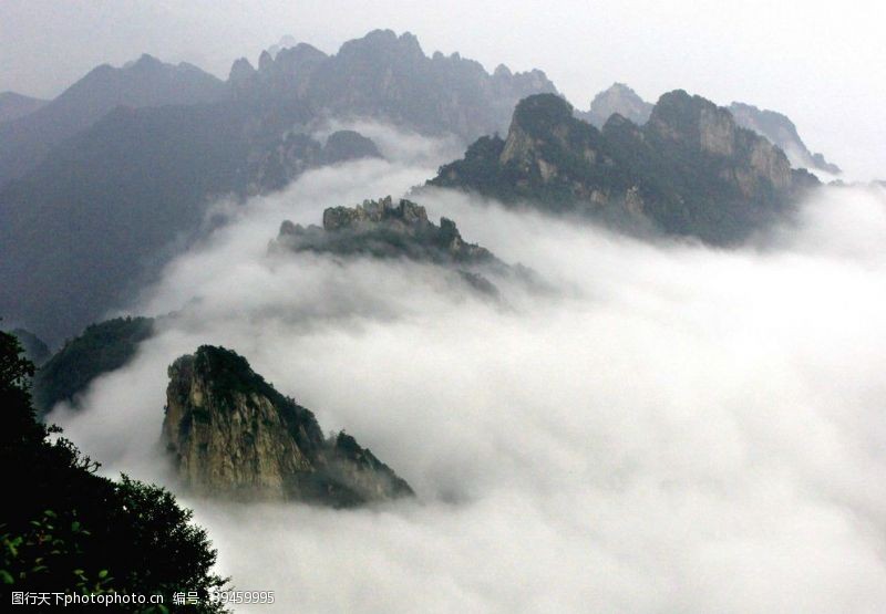 云雾缭绕老君山云海图片