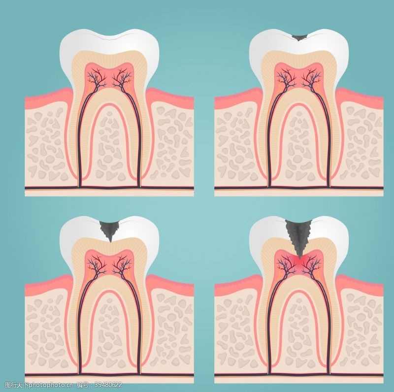 牙科展架牙齿口腔医科图片
