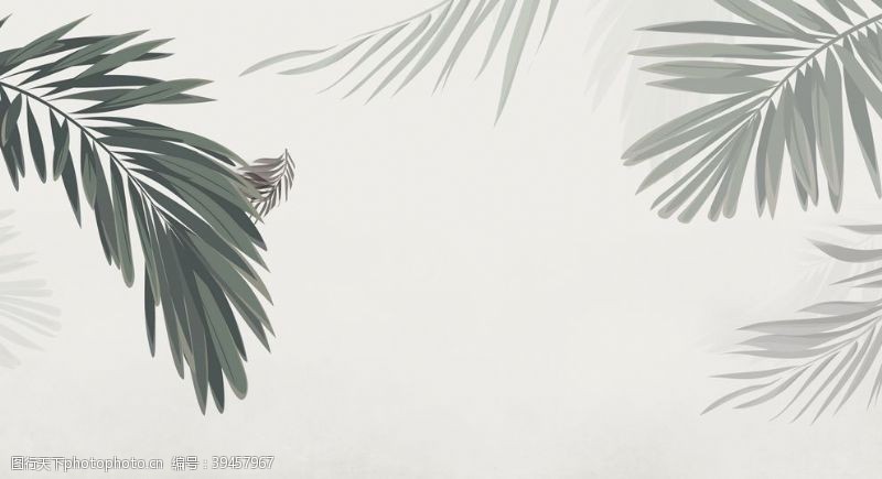 乡村油画植物棕榈叶图片