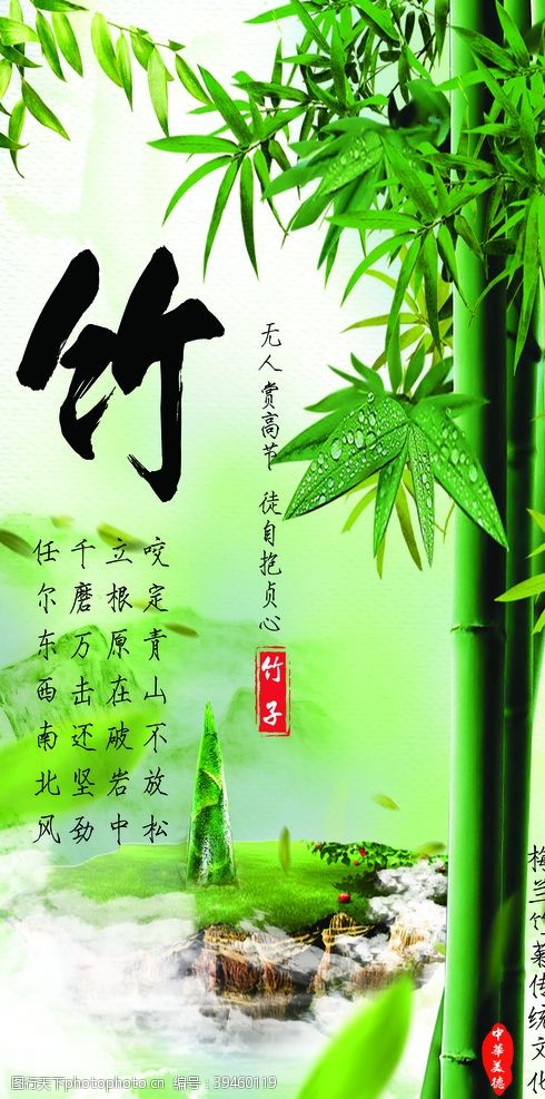 风景画欣赏竹子图片