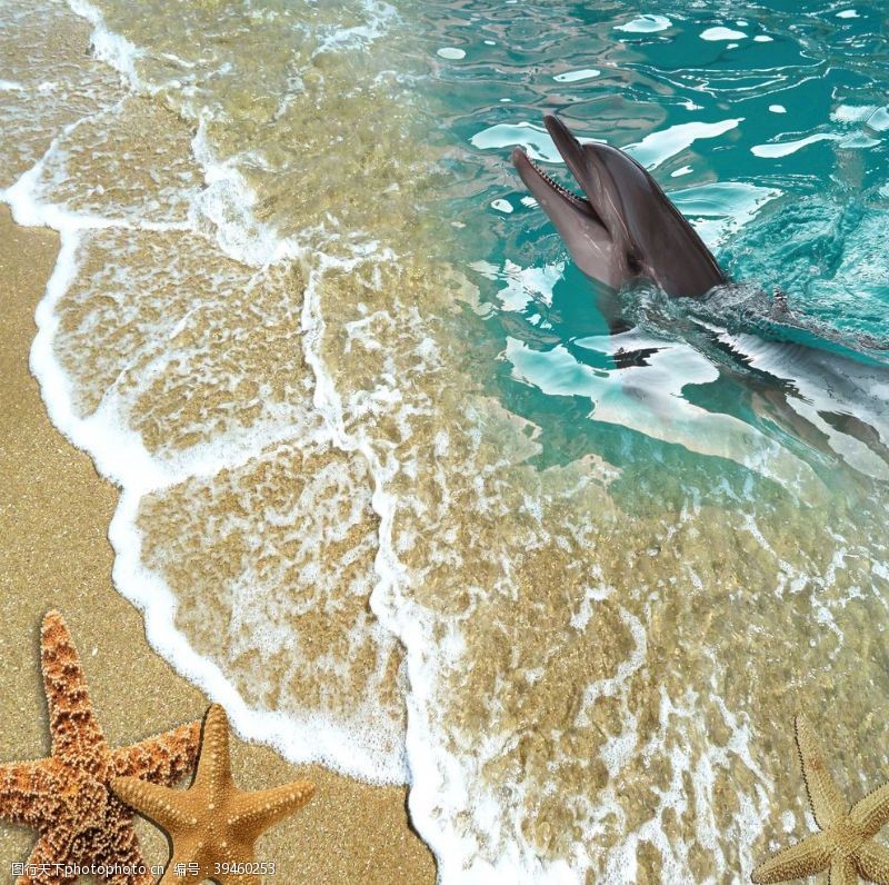 3d海豚3D沙滩海豚高清图图片