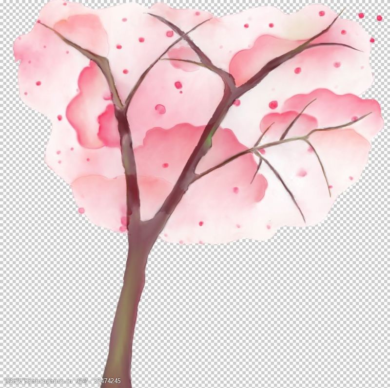 武大樱花粉色樱花装饰图片
