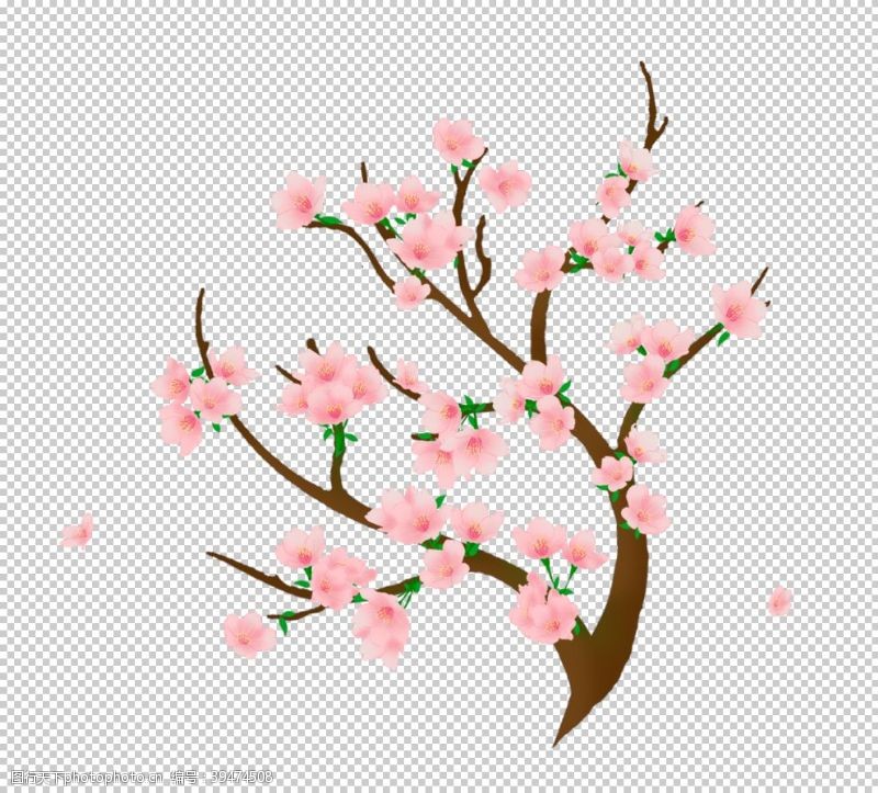 樱花展架手绘桃花图片